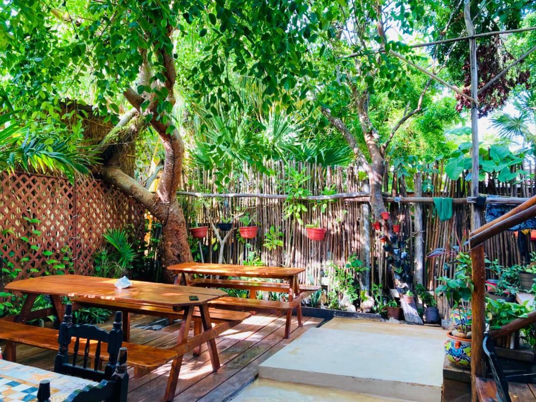 Hostal Holbox 외부 사진