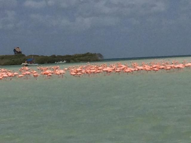 Hostal Holbox 외부 사진