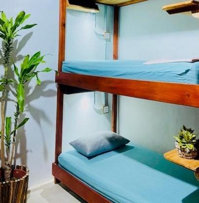 Hostal Holbox 외부 사진